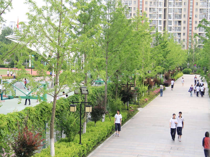 南京市中华中学怎么样,南京市中华中学傅清