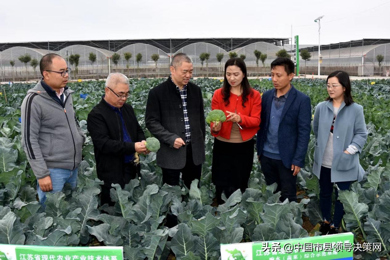 长三角（响水）西兰花产业研究院签约揭牌仪式在响水县举行