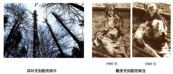 第十单元酸碱盐知识点,中考化学第十单元酸碱盐