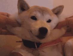 抖音上的好嗨哟,聊城市开发区交警大队抖音