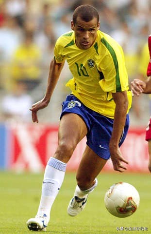 绰号和动物有关的巴西球星,巴西足球名将绰号小鸟