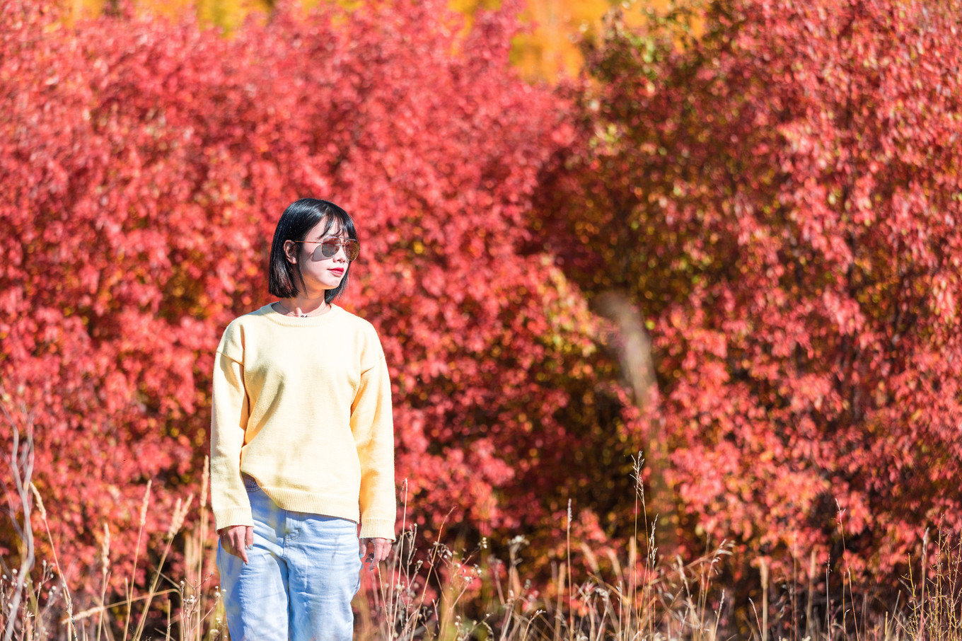 哈尔滨满洲里自驾路线,哈尔滨满洲里自驾视频