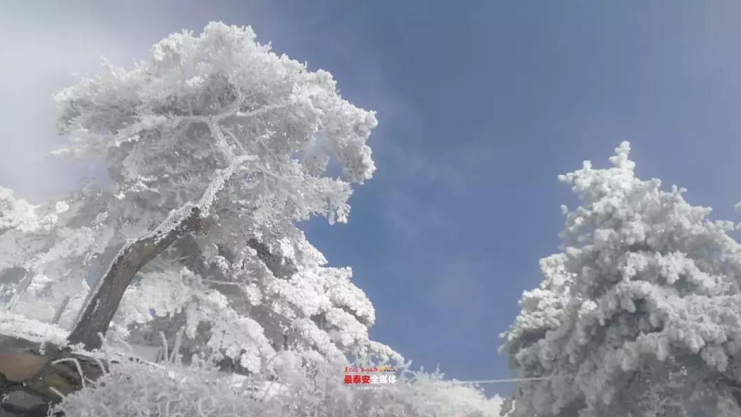 此刻泰山成了雪国，美到无言！高清美图来袭，“雪国的列车”即刻发车！