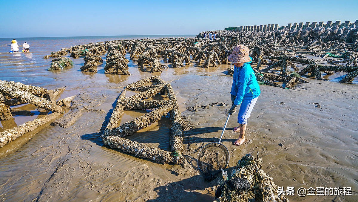 上海奉贤周末带娃好去处10岁左右,上海奉贤周末遛娃好去处推荐