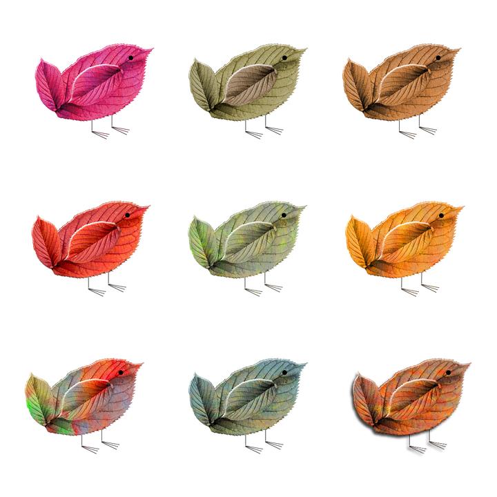 想创业不知道干什么应该去哪里玩,小白创业应该先做什么项目