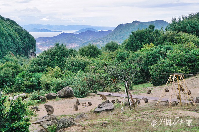日本大阪距东京多摩市多远,日本大阪离海边有多远