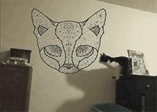 猫咪猜杯子游戏第三关,猫猜杯子游戏