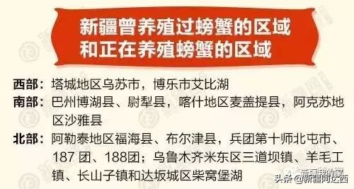 疆优质特产,盘点十大新疆的特产