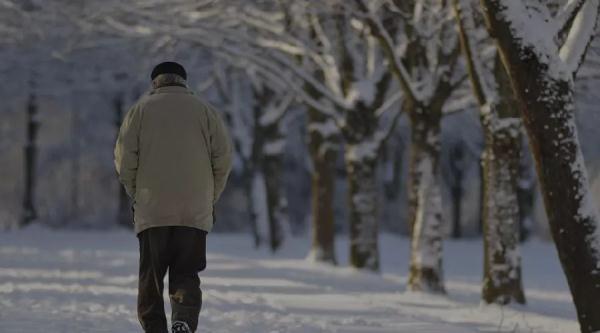 不结婚老了会怎么样视频,不结婚不生娃老了之后的后果