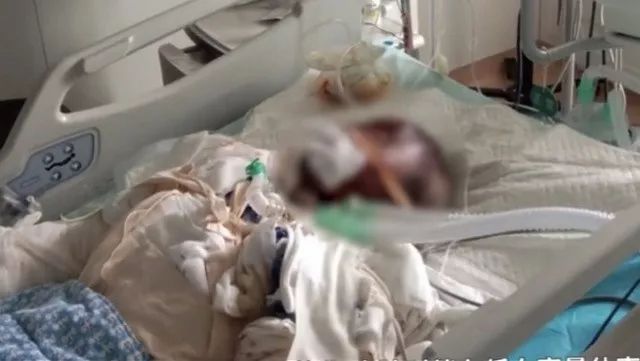 模仿不倒翁姐姐的小朋友视频,网红不倒翁姐姐原视频