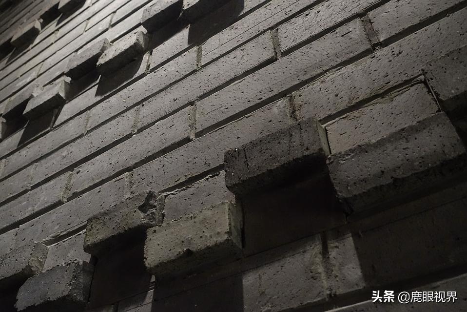 鹿眼视界随拍,我的随拍之鹿眼视界