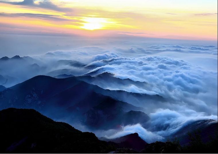 花香弥漫，云海林涛，这个小众景点真的美到让人窒息