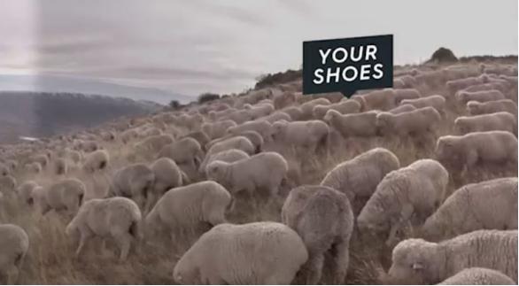 看了一双鞋子不舍得买,看了一双鞋没舍得买