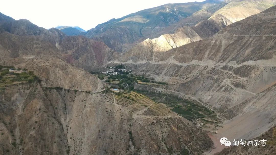 中国葡萄酒主产区之一,宁夏贺兰山东麓葡萄酒产区