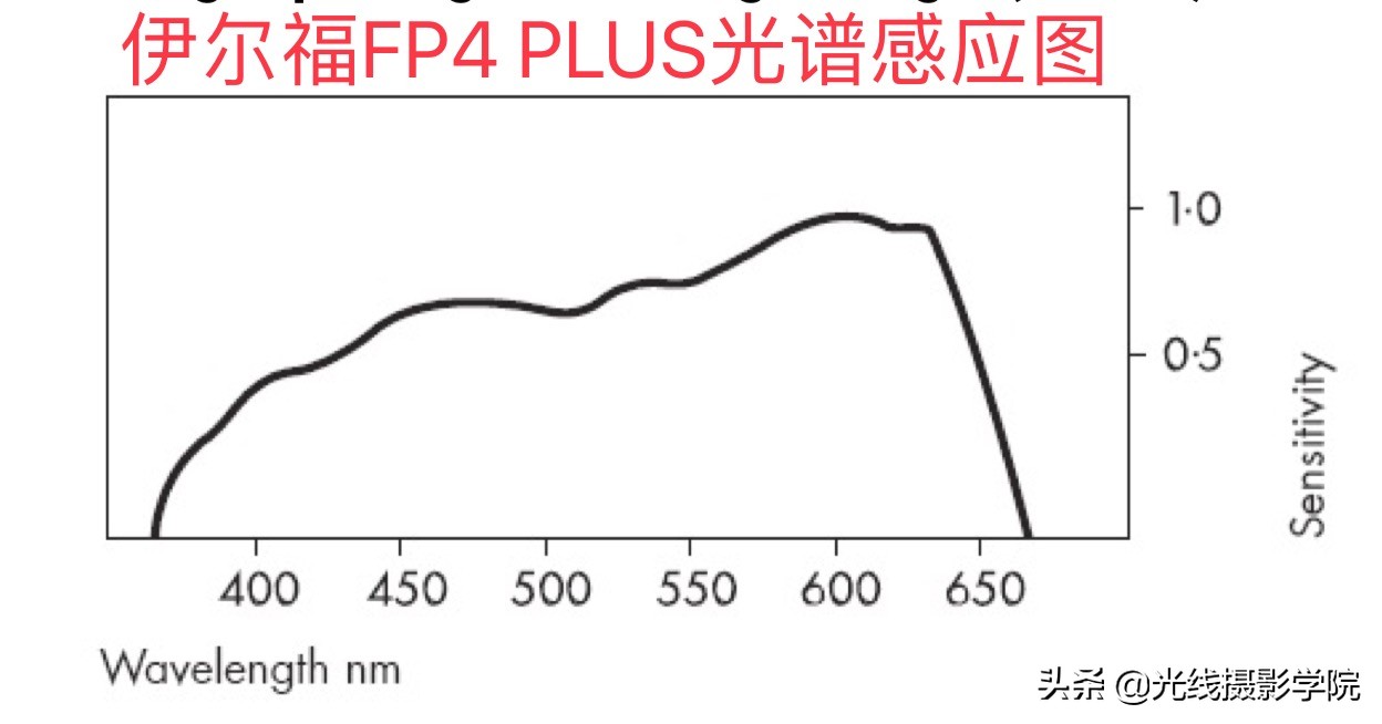 伊尔福黑白胶卷冲洗时间,适合新手的黑白胶卷