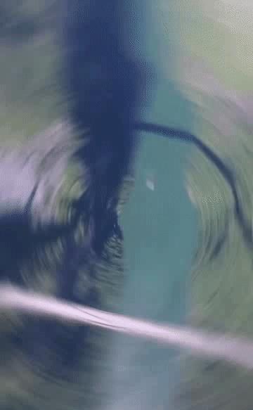 联合国教科文组织点赞的中国省份,被联合国点赞的省份到底有多逆天