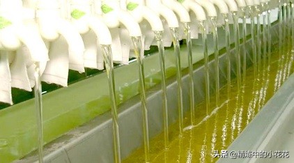 扶贫核桃加工,扶贫核桃油