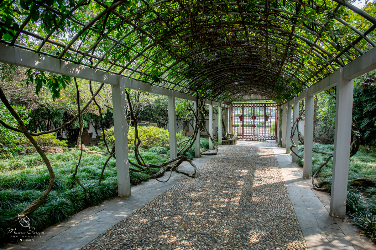 江南百年园林,江南私家园林所蕴含的人文情怀