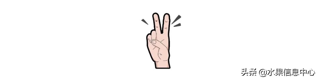 揭秘各种水果批发的价格,批发市场卖水果的技巧