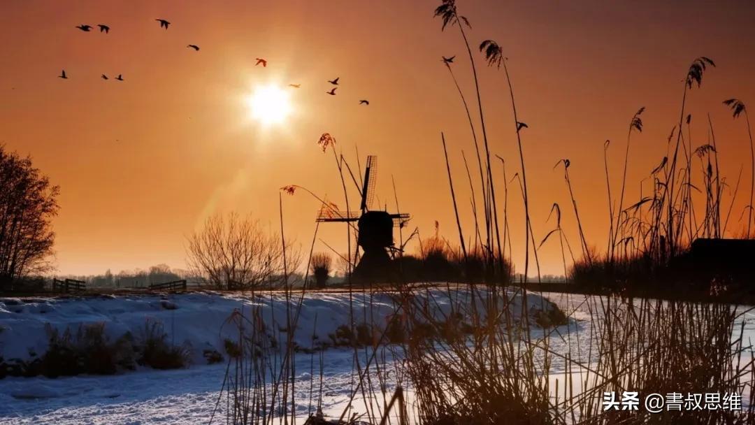 全球多国疫情恶化确诊病例剧增,全球疫情恶化单日新增病例创新高