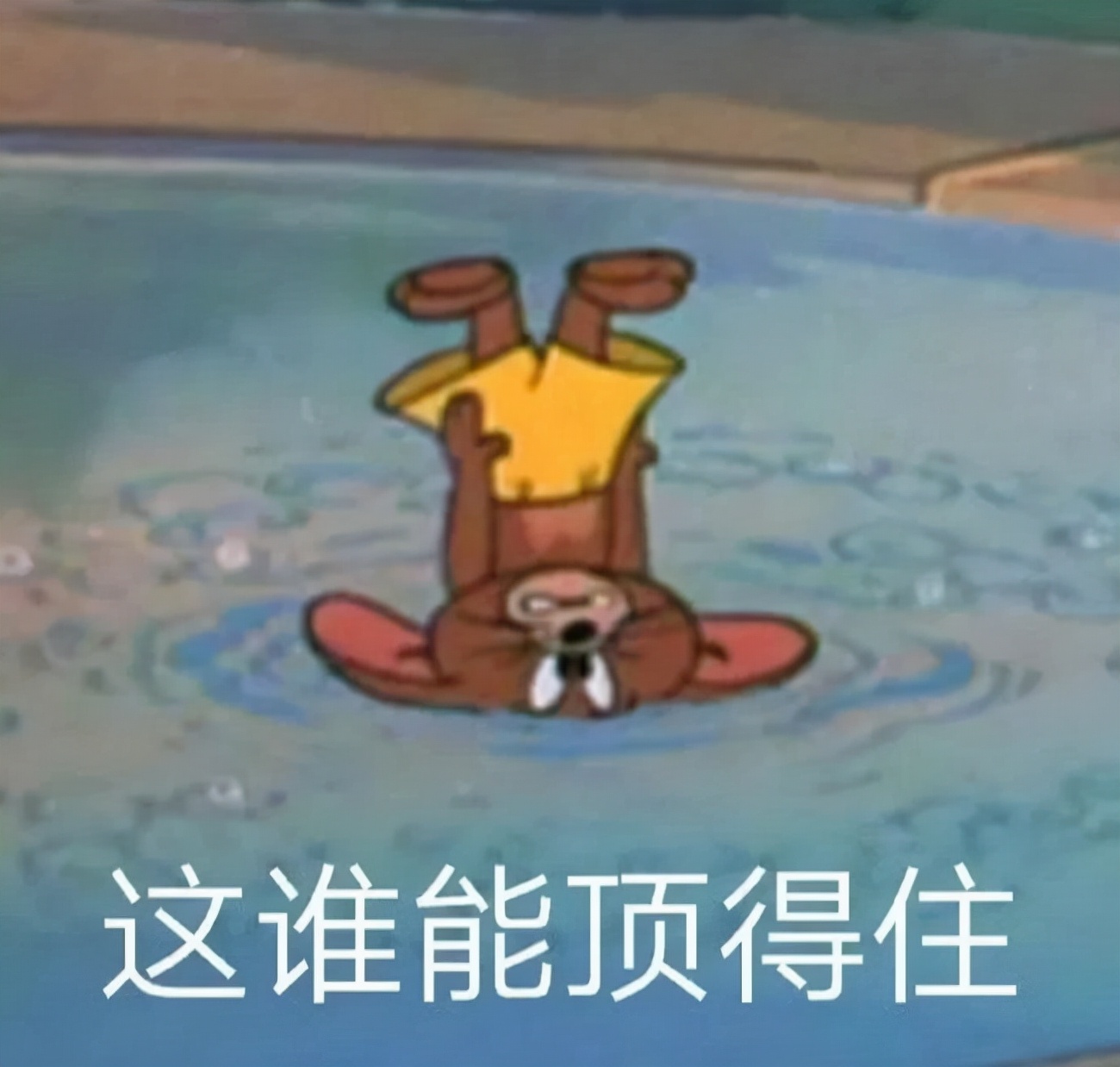 双十一喵糖活动什么时候开始,双十一最新活动喵糖攻略