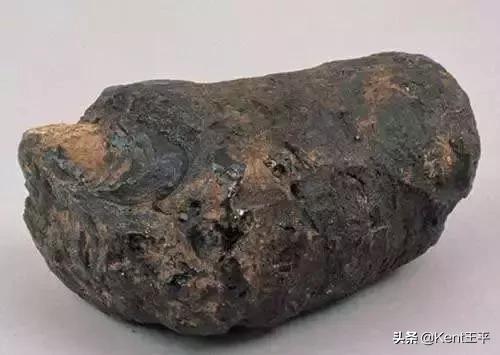 海里的粑粑,海里有粪便吗