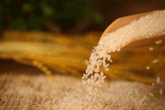 中国用了占世界多少的耕地,我国用占世界百分之几的耕地