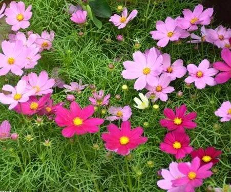 彭山景区活动购票,常德彭山景区游玩攻略图