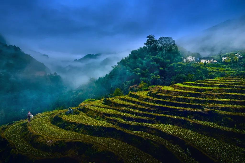 池州市市民卡,池州市民旅游卡