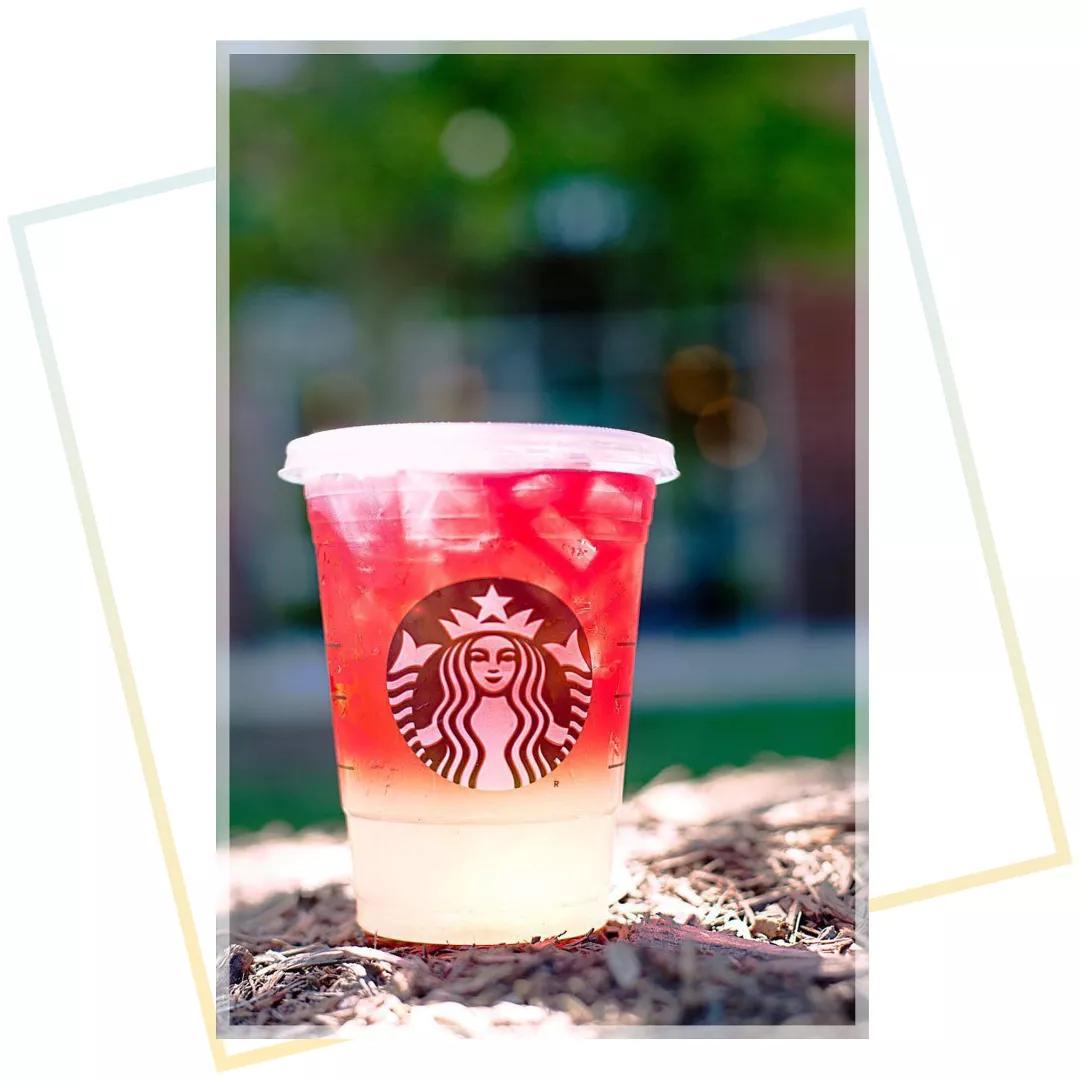 好喝不胖的网红奶茶来了,高颜值网红奶茶