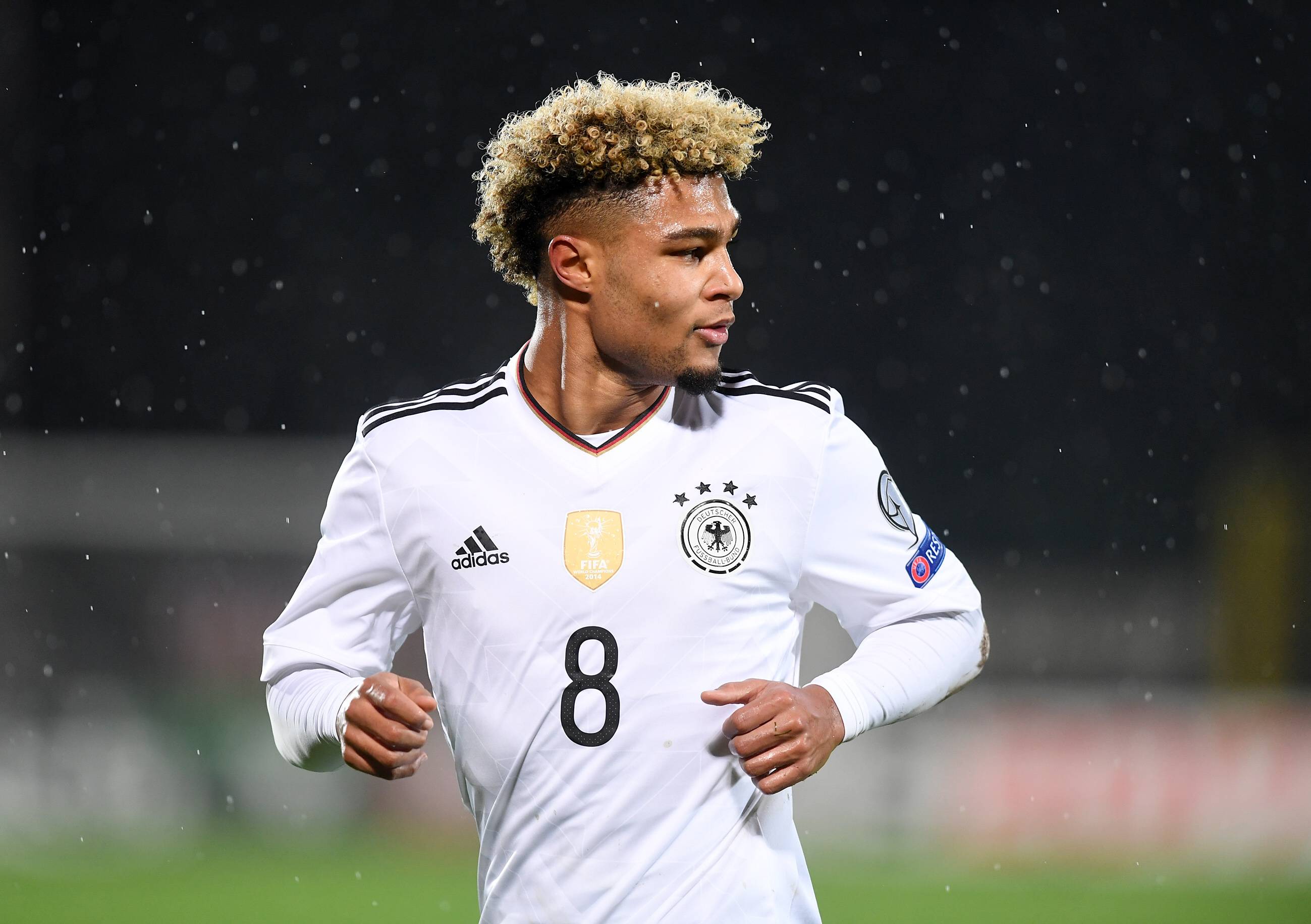 英超格纳布里现状,格纳布里在阿森纳表现