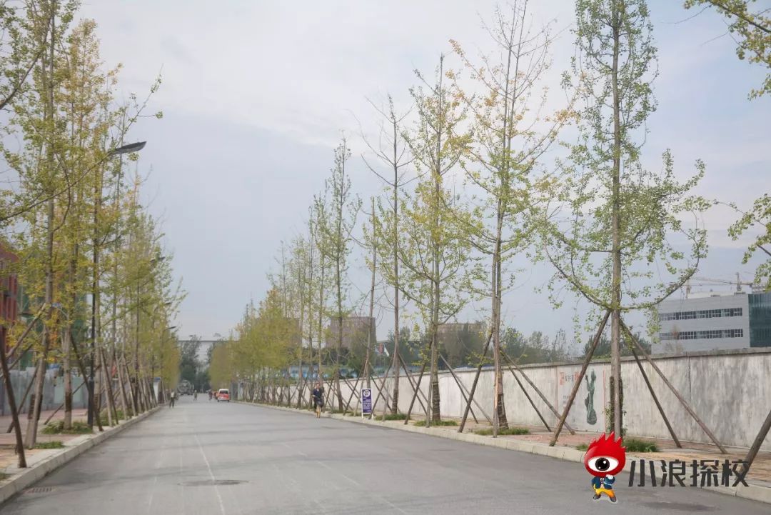 小浪探校实验,小浪探校华阳中学