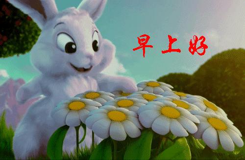 30张动图图片,会动的照片简直绝美