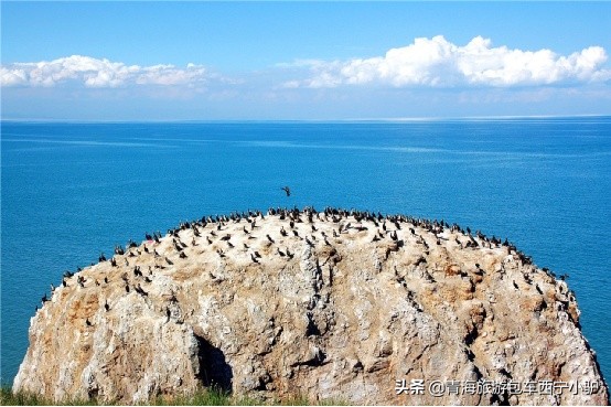 青海那么美,青海小驴旅游攻略