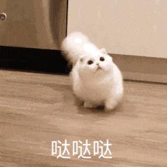 逆水寒官方最新爆料,逆水寒4.2过得去剑三吗