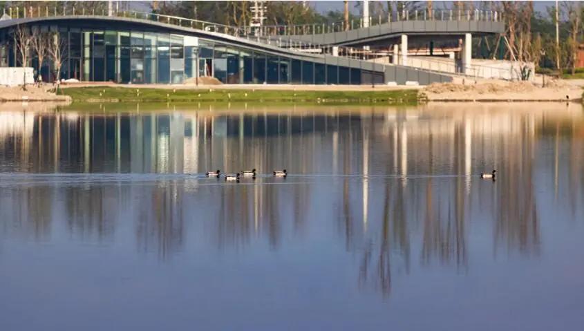 郫都未来价值高地，在这里