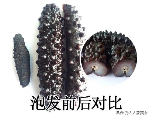 海参行业内幕,新鲜海参内幕深度揭秘