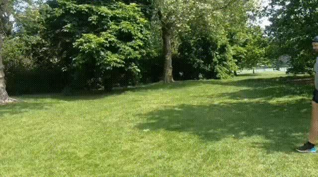 跑步前如何正确热身减少膝盖受损,最简单的跑步热身视频教程