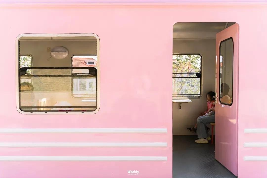 深圳樱花专列,深圳蛇口樱花列车