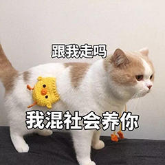 微信压缩文件怎么在电脑上打开,微信里的压缩文件可以直接用