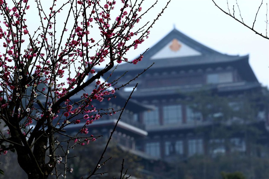 根博园根雕,根宫佛国根雕视频