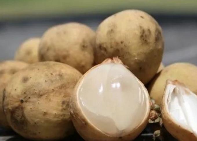 云南西双版纳旅游特色水果,云南西双版纳水果花