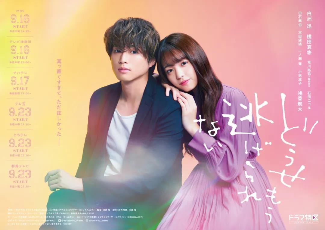 doctorx大门未知子第七季在线观看,doctorx大门未知子第五季