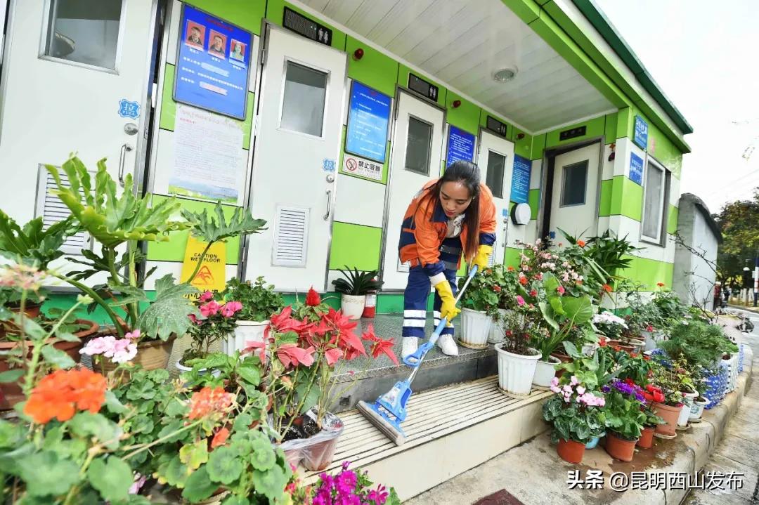 40万盆鲜花扮靓城区迎节,6万盆花扮靓街头迎五一