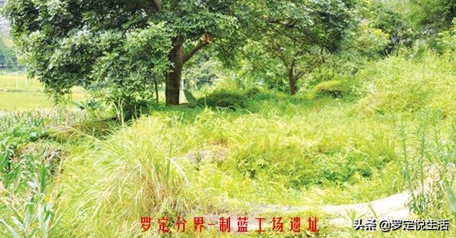 广东罗定历史古城,广东罗定的历史有多悠久