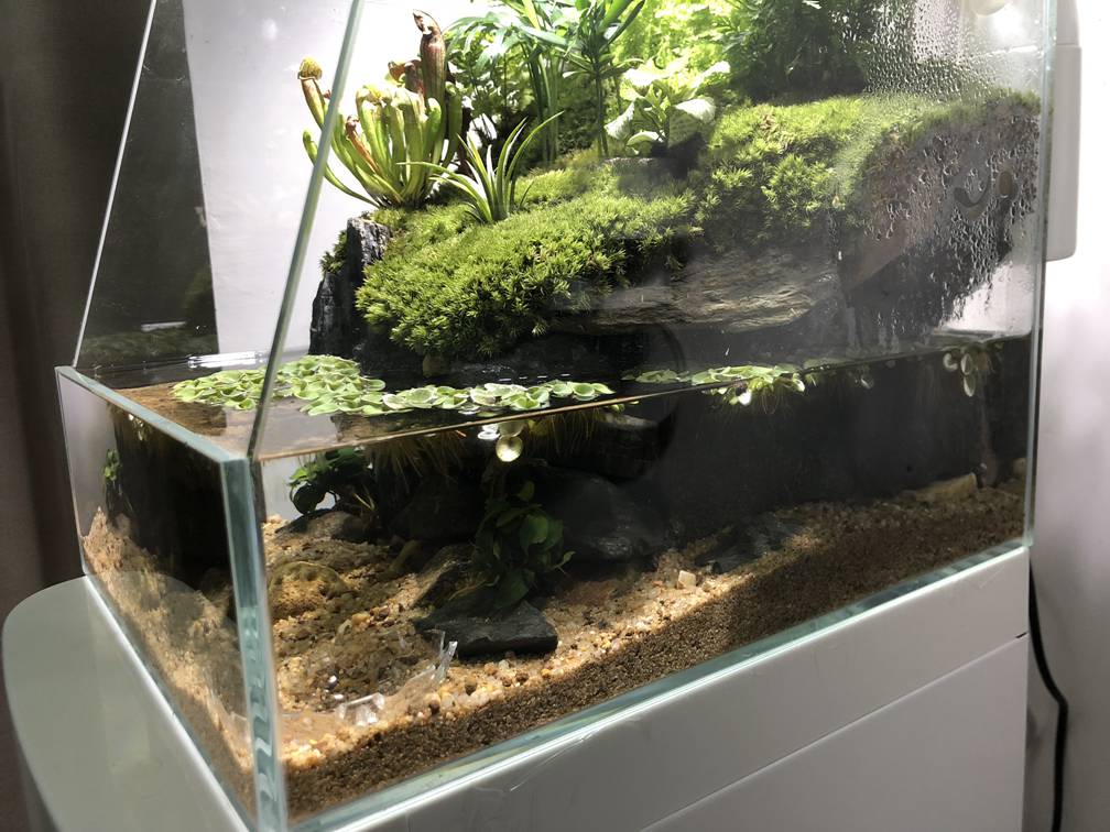 半夜睡不着想改造房间把家拆了,睡不着觉的装修效果图