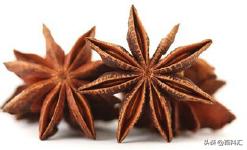 香水中的檀香,香水中的木香香料