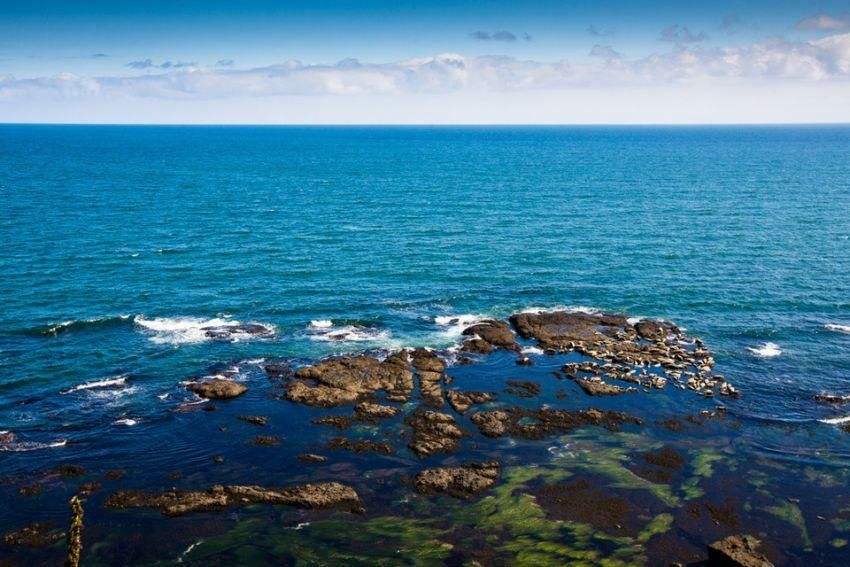 俄国占领日本国土面积,俄国占领的国土有多少平方公里