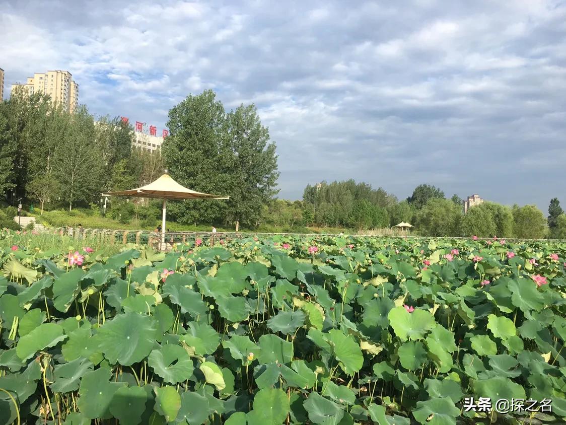 缇庣殑浠や汉閬愭兂,缇庣殑鎯婅壋缇庣殑闇囨捈