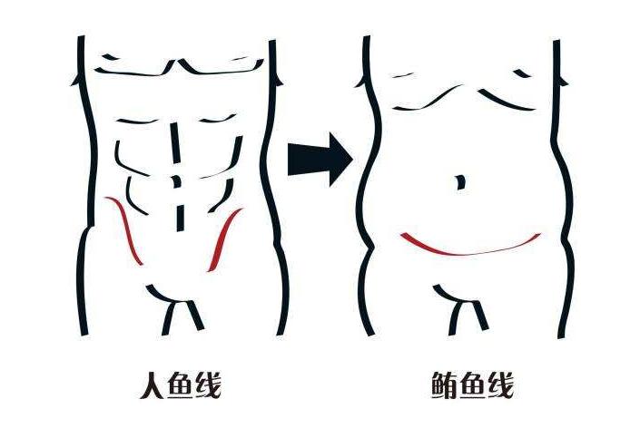 人鱼马甲线速成教程,马甲线教程全过程